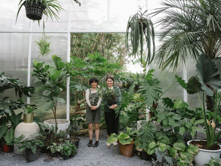 Serres dans le jardin botanique